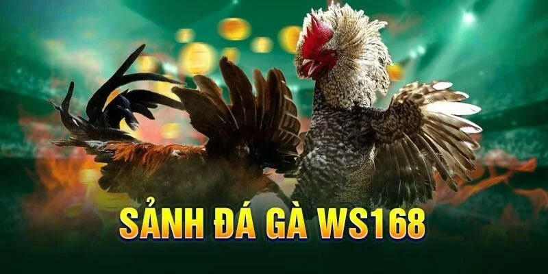 Đôi nét về sảnh đá gà WS168 tại nhà cái 789BET