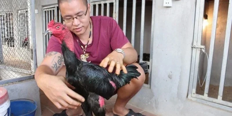 Khẩu phần nước thích hợp Khẩu phần nước thích hợp