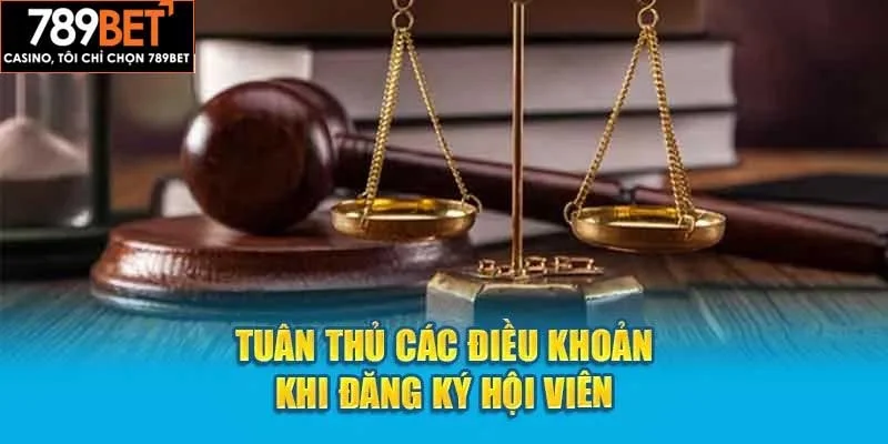 Người chơi cần đồng ý điều khoản khi Đăng Ký 789bet Người chơi cần đồng ý điều khoản khi Đăng Ký 789bet